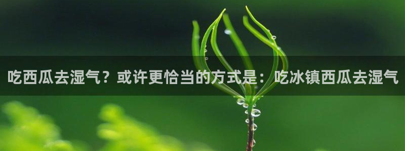 长生武道从九龙夺嫡开始吃瓜：吃西瓜去湿气？或许更恰当的方式是：吃冰镇西瓜去湿气