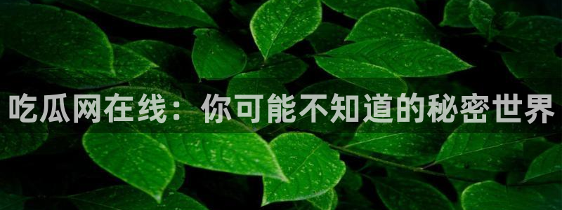 51吃瓜热心张津瑜