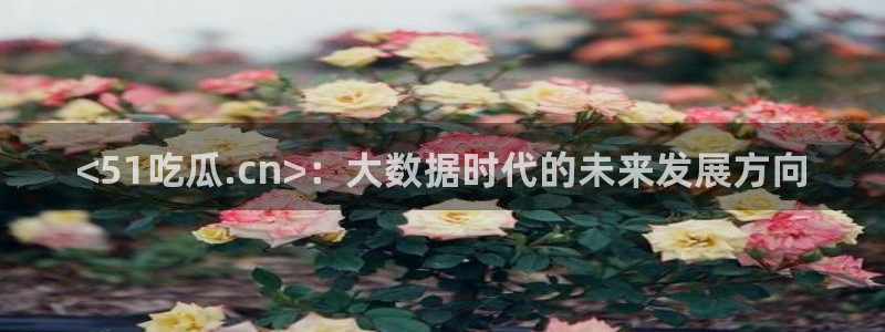 51吃瓜今日吃瓜娜娜：<51吃瓜.cn>：大数据时代的未来发展方向