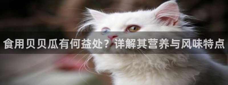 板栗瓜怎样做最好吃：食用贝贝瓜有何益处？详解其营养与风味特点
