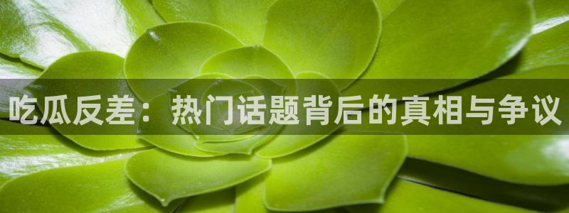 91吃瓜网今日吃瓜入口