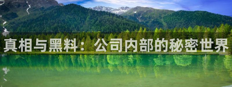 51cgfun每日吃瓜：真相与黑料：公司内部的秘密世界