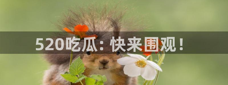 51吃瓜今日吃瓜娜娜：520吃瓜: 快来围观！
