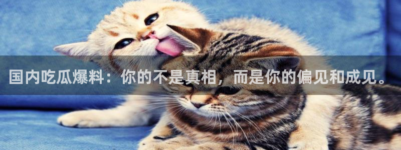 黑料免费：国内吃瓜爆料：你的不是真相，而是你的偏见和成见。