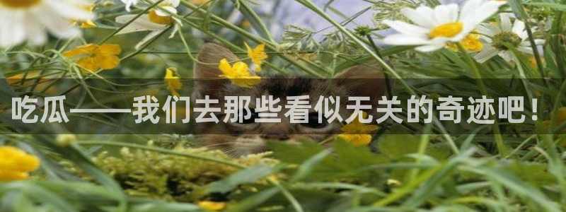 吃瓜发现我家皆大佬：吃瓜——我们去那些看似无关的奇迹吧！