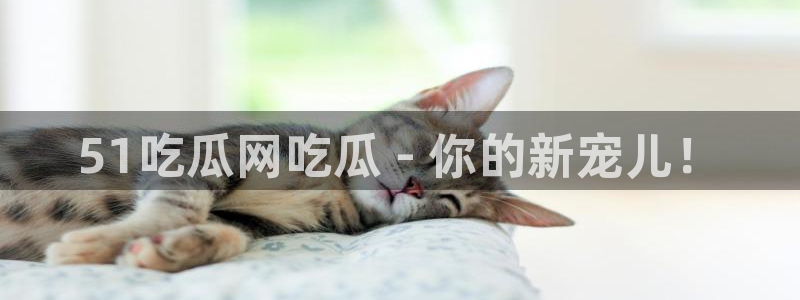 吃瓜www