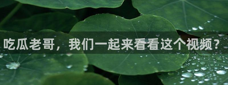 cggolive吃瓜网：吃瓜老哥，我们一起来看看这个视频？