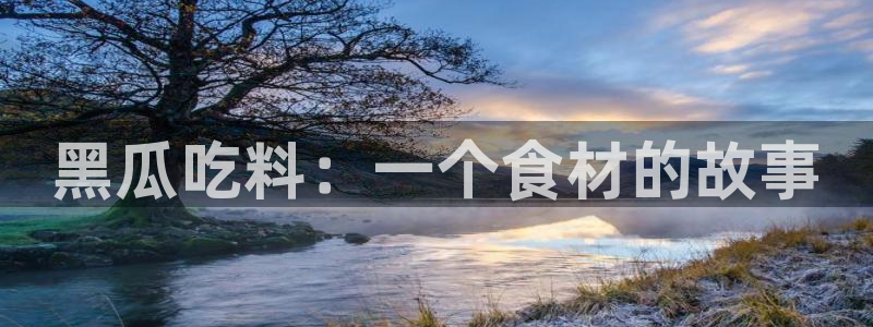 吊瓜树的瓜可以吃吗：黑瓜吃料：一个食材的故事