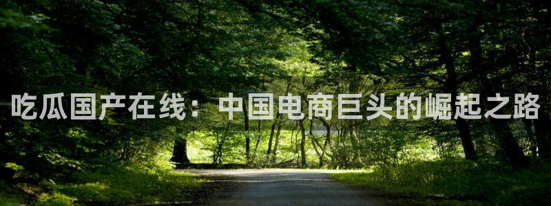 吃瓜群众中的瓜指的是：吃瓜国产在线：中国电商巨头的崛起之路