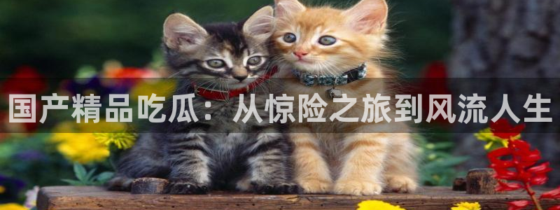 www.吃瓜