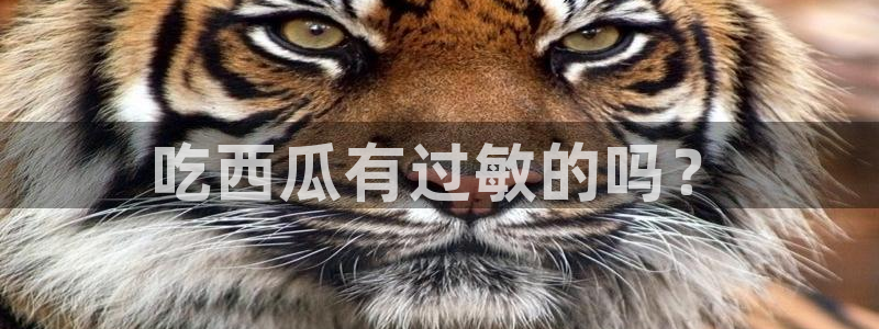 51吃瓜全网更新最快的吃瓜网