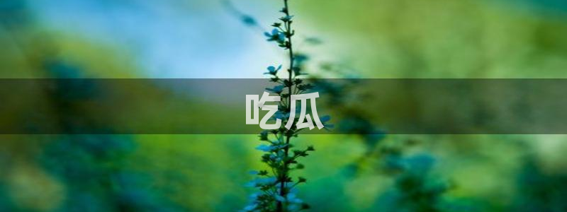 51cg热门大瓜今日吃瓜