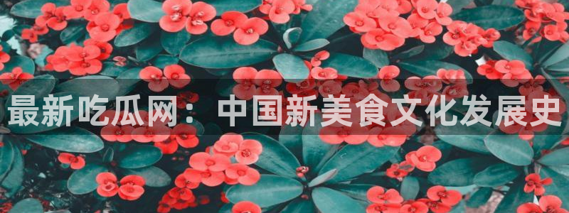 cggolive51吃瓜