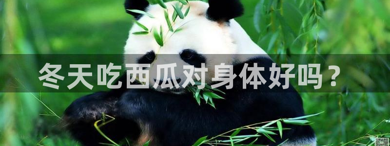 51cgfun每日吃瓜