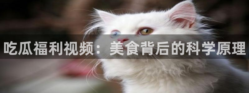 51吃瓜群众路线