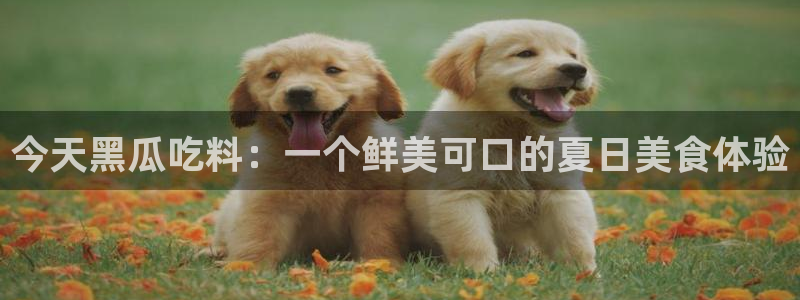 51cg吃瓜今日吃瓜