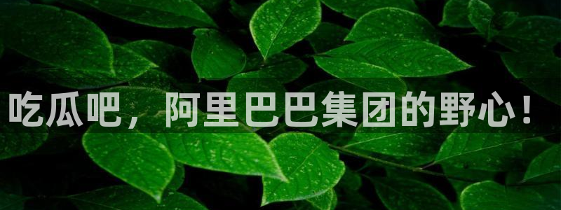 51吃瓜网今日吃瓜入口:吃瓜吧,阿里巴巴集团的野心!