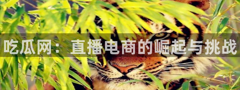 黑料免费：吃瓜网：直播电商的崛起与挑战