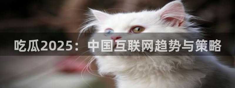 高血糖可以吃瓜吗