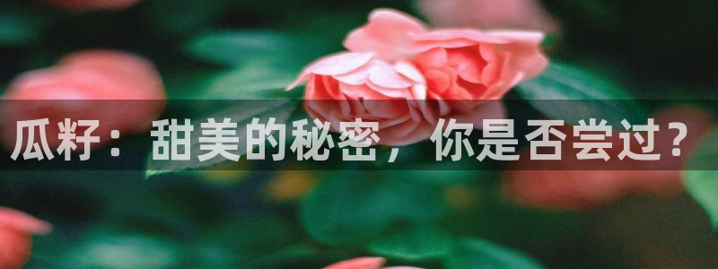 51吃瓜今日吃瓜入口最新：瓜籽：甜美的秘密，你是否尝过？